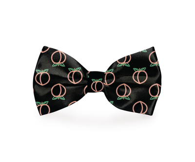 Black Dog Bow Tie - Neon Peach Dog Tie | The Pooch Shoppe