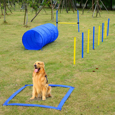 Dog Agility Starter Kit - Dog Training Set