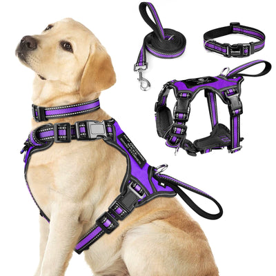 Pet Harness Collar - Matching Collar And Harness | The Pooch Shoppe