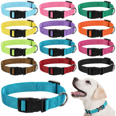 Dog Collar - Adjustable Dog Collar | The Pooch Shoppe